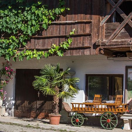 Bio Turisticna Kmetija Frcej-Zupan Villa Блед Екстериор снимка
