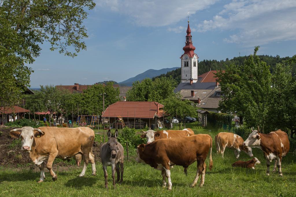 Bio Turisticna Kmetija Frcej-Zupan Villa Блед Екстериор снимка