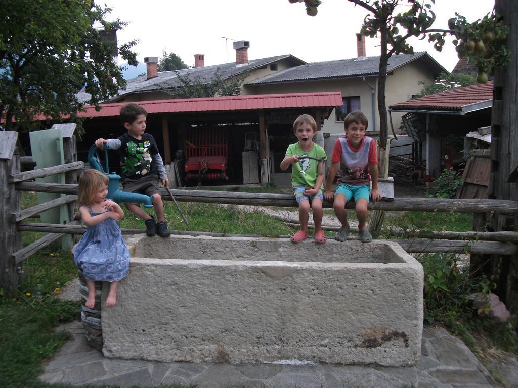 Bio Turisticna Kmetija Frcej-Zupan Villa Блед Екстериор снимка